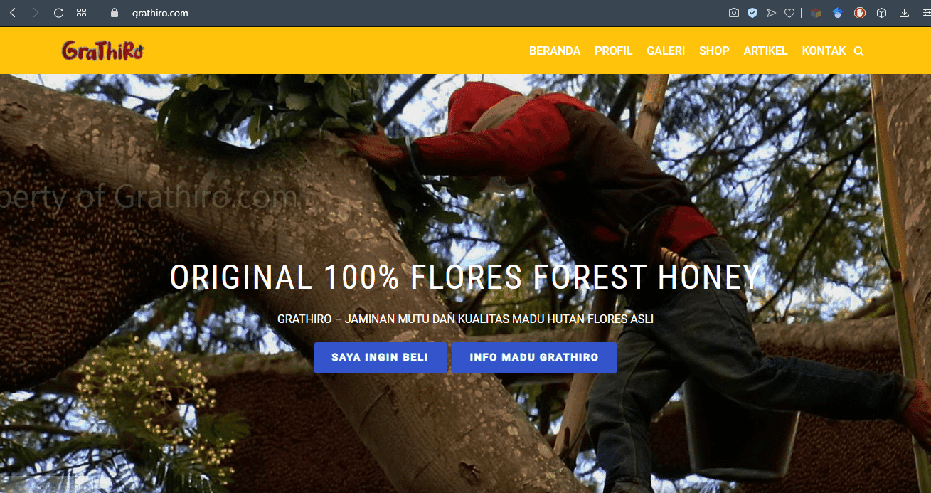 madu hutan flores grathiro